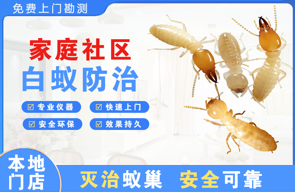 沛县家庭社区白蚁防治