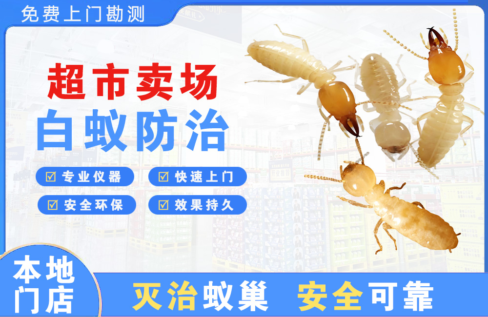 沛县超市卖场白蚁防治