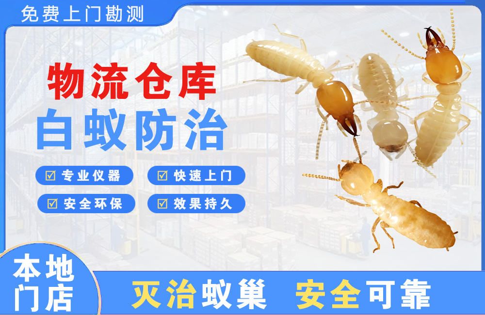 沛县物流仓库白蚁防治
