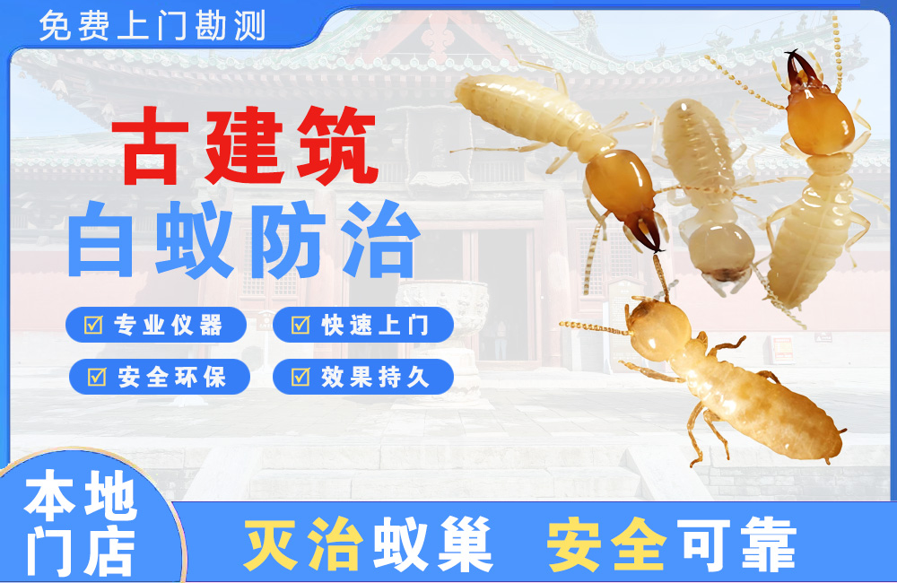 沛县古建筑白蚁防治