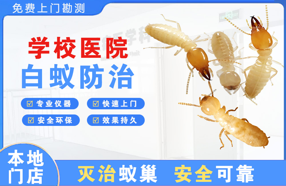 沛县学校医院白蚁防治